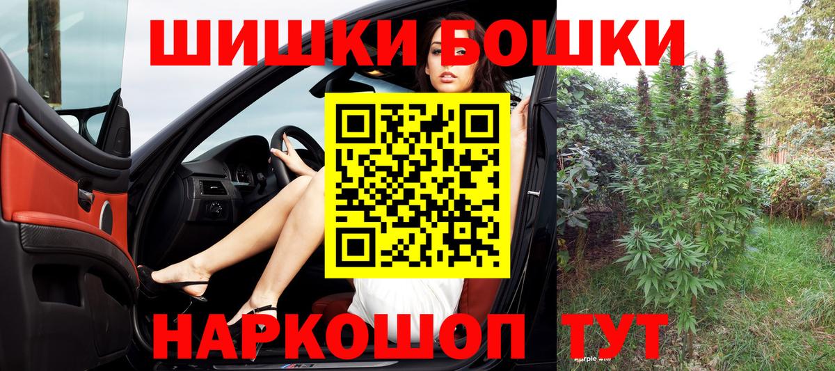 Каннабис сатива Кстово